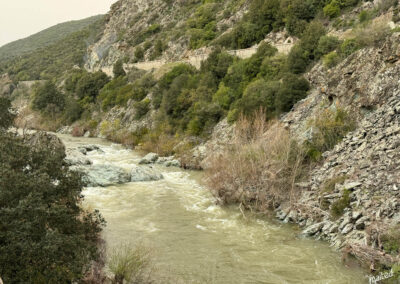 Le Golo au viaduc ferroviaire de Muzelle