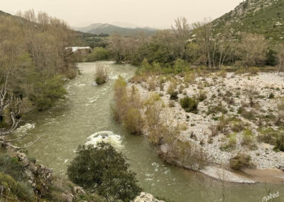 Le Golo au viaduc ferroviaire de Muzelle