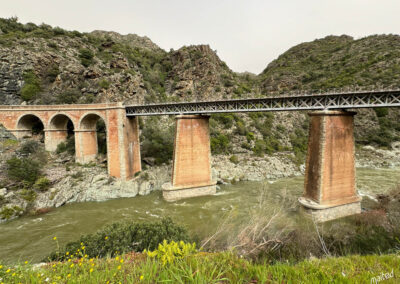 Viaduc ferroviaire de Muzelle