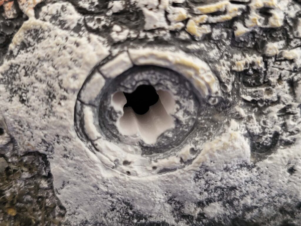 electrification chapelle 006